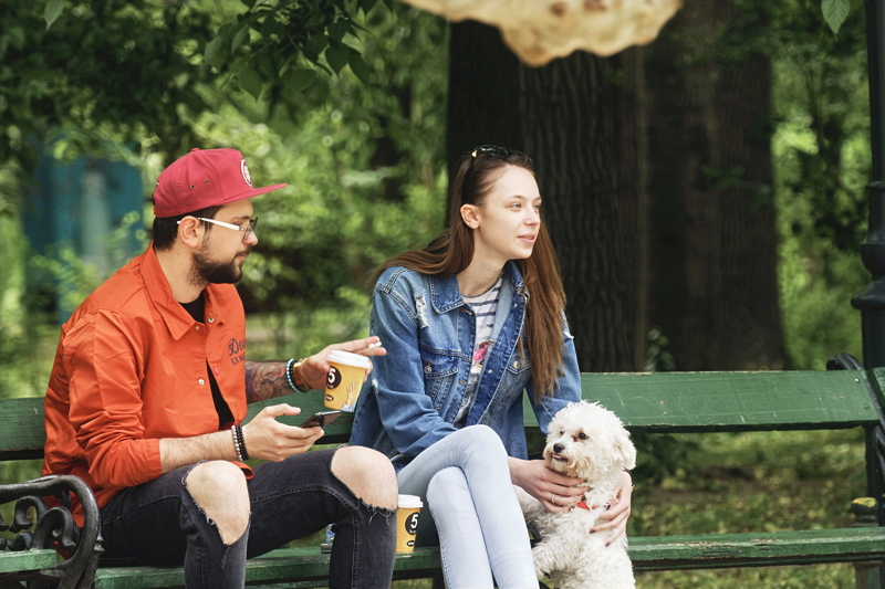 A couple sitting on a green park bench with a small white dog